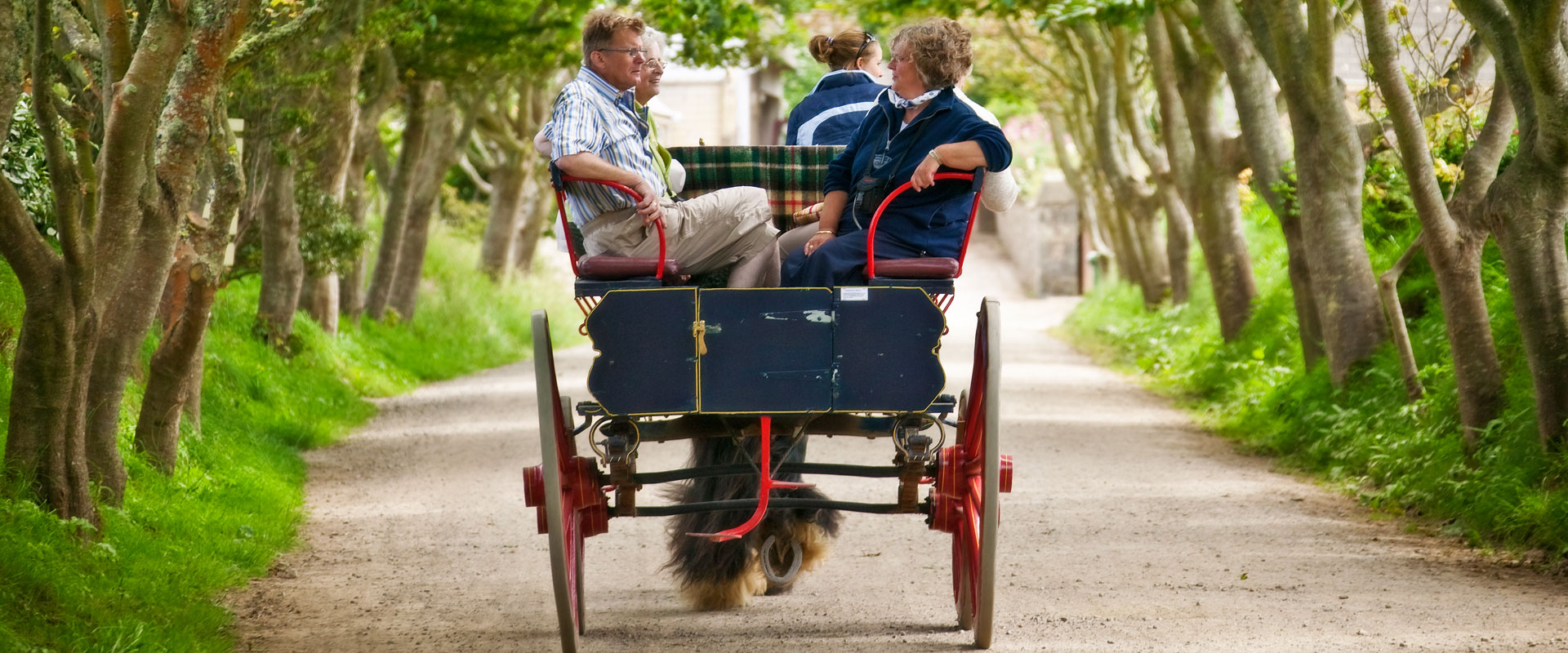 Sark carriage - Images courtesy of VisitGuernsey